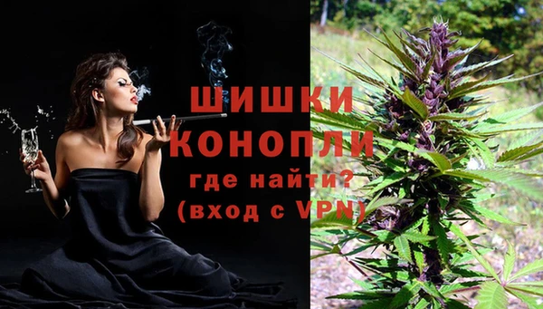 эйфоретик Богородск