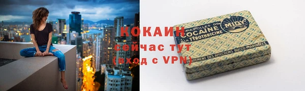 шишки Богданович