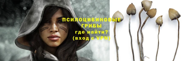 гашиш Богородицк