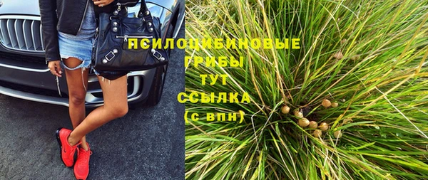 ПСИЛОЦИБИНОВЫЕ ГРИБЫ Покачи