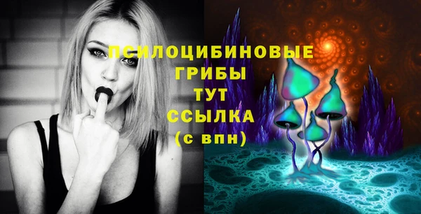 шишки Богданович