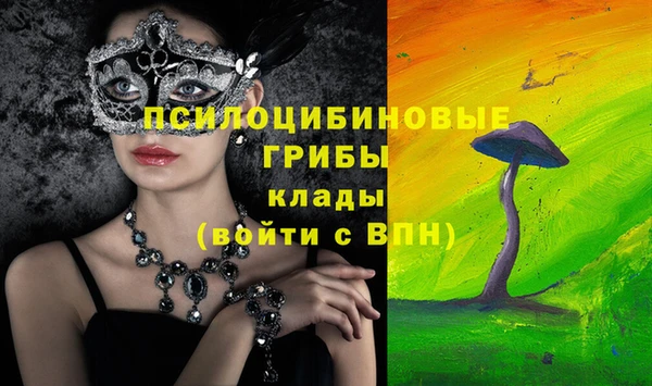 шишки Богданович