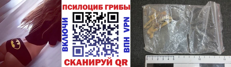 Псилоцибиновые грибы MAGIC MUSHROOMS что такое Благовещенск